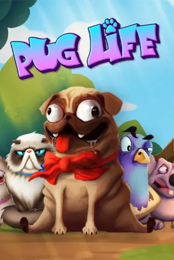 Leon Casino Australia Pokies Bonus Buy (83)