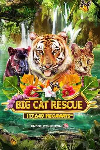imgi 68 BigCatRescueMegaways@513x767@x2